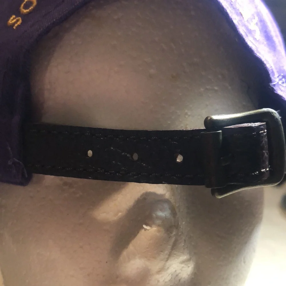 Purple southern marsh cap with Gold Duck Embroidery